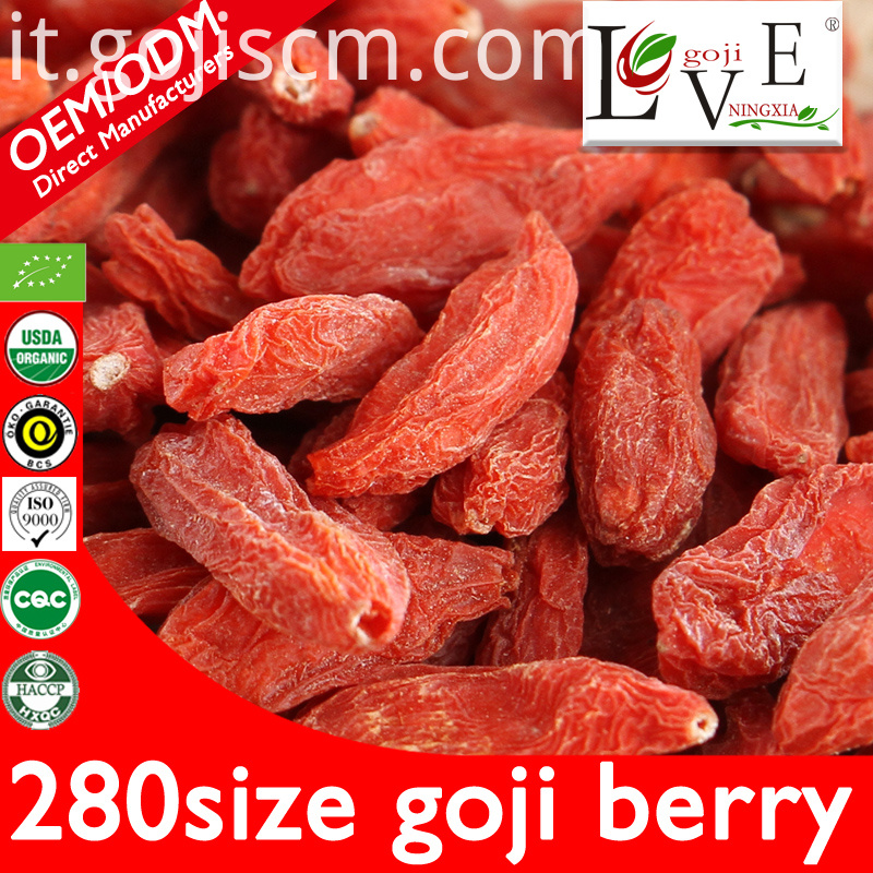 Cipolla di Goji essiccata con certificato di 280mesi 280size EU Certificate Dried Goji Berry